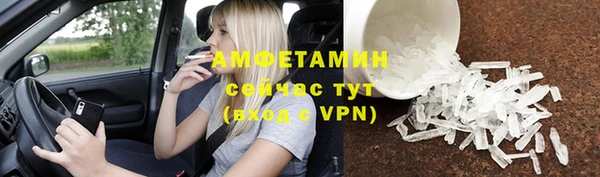 хмурый Алексин