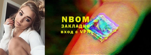 хмурый Алексин