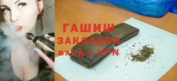 хмурый Алексин
