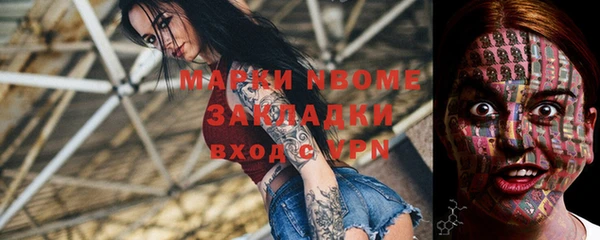 хмурый Алексин