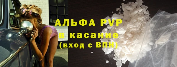 сатива Абаза