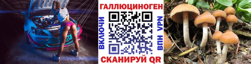 наркота  Шумиха  маркетплейс наркотические препараты  Галлюциногенные грибы мицелий 